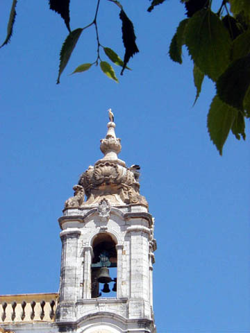 05a - Ubiquitous storks on Carmelite Church